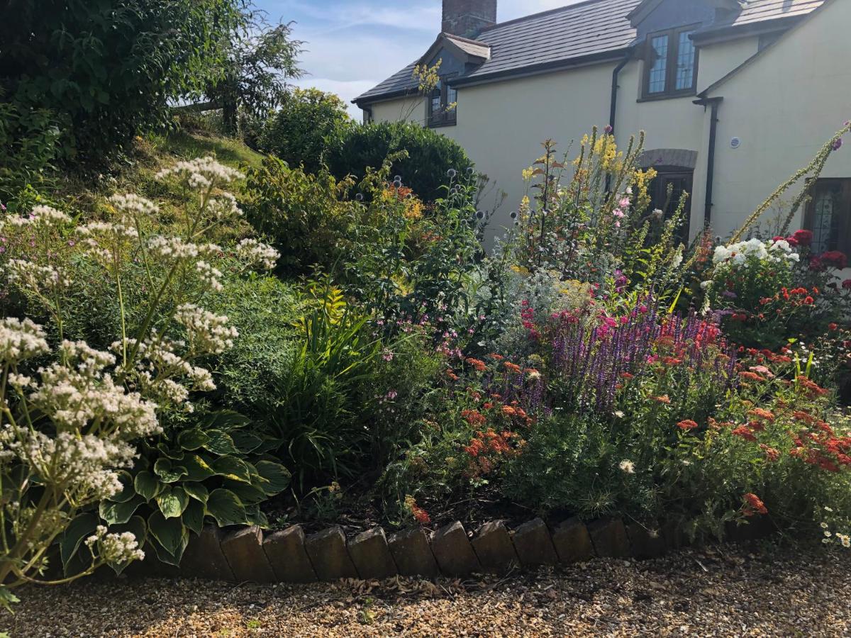 Idyllic Dorset Surrounded By Fields In The Heart Of The Countryside * Buckland Newton