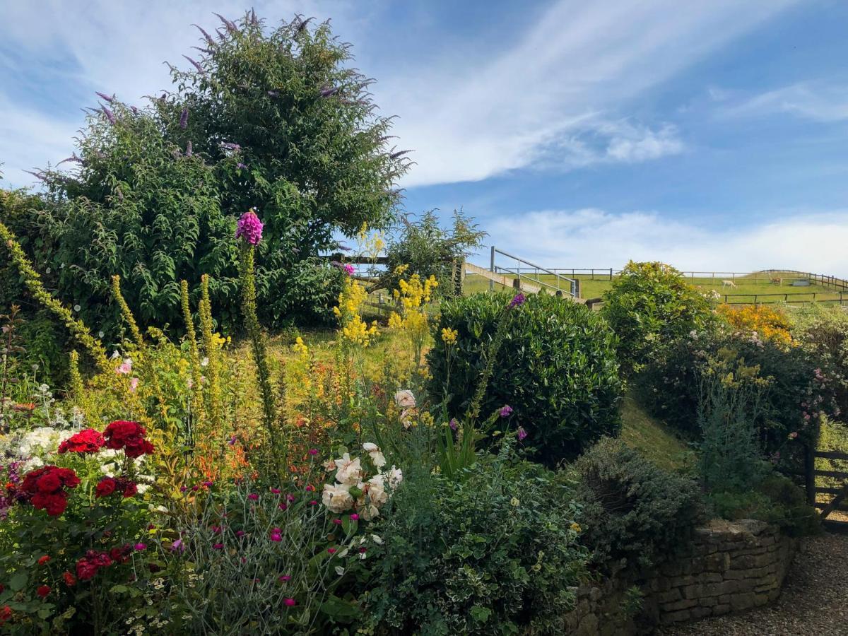 Holiday home Idyllic Dorset Surrounded By Fields In The Heart Of The Countryside Buckland Newton