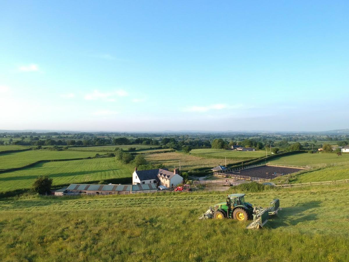 Idyllic Dorset Surrounded By Fields In The Heart Of The Countryside Holiday home *