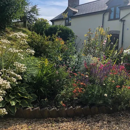 Idyllic Dorset Cottage Surrounded By Fields In The Heart Of The Countryside Buckland Newton Exterior photo